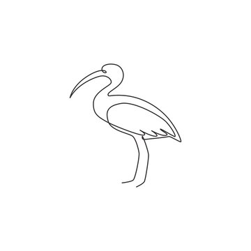 recommend clip art: One continuous line drawing of cute ibis for company logo identity. Long legged wading bird mascot concept for national zoo icon. Modern single line draw design vector graphic illustration