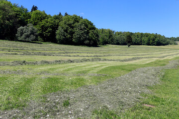 Heuernte, Rhoen, Reichenhausen, UNESCO Biospherenreservat Rhoen, Thueringen, Deutschland, Europa