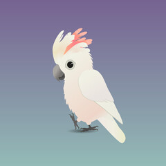 An illustration of a cute salmon-crested cockatoo