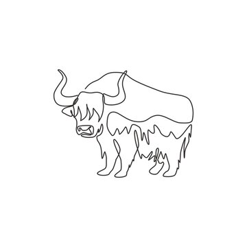 recommend clip art: Single continuous line drawing of gallant yak for logo identity. Long haired domesticated bovid mascot concept for national conservation park icon. Modern one line draw design vector illustration