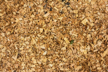 Sawdust or wood dust texture background. Wood sawdust background closeup. Sawdust floor texture. Top view. Saw dust texture, close-up background of brown sawdust.