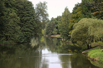 pond in a forest park on the outskirts of the city