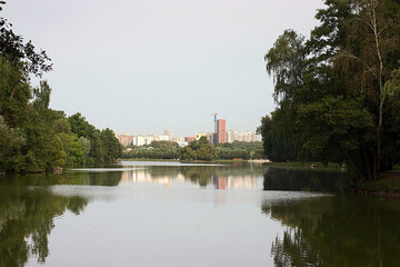 Fototapeta na wymiar pond in a forest park on the outskirts of the city