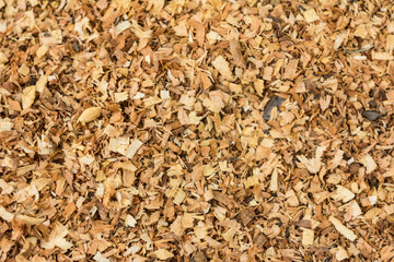 Sawdust or wood dust texture background. Wood sawdust background closeup. Sawdust floor texture. Top view. Saw dust texture, close-up background of brown sawdust.