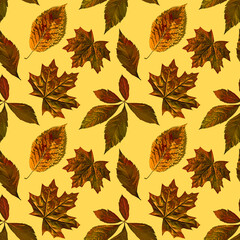 Leaves composition, seamless pattern.