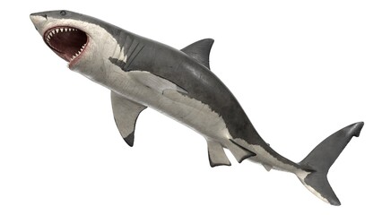 3d rendered great white shark