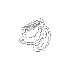 One continuous line drawing of whole healthy organic tamarind for orchard logo identity. Fresh fruitage concept for fruit garden icon. Modern single line draw design graphic vector illustration