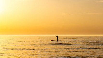 Fototapeta premium Surfer and Sunset on the North Sea
