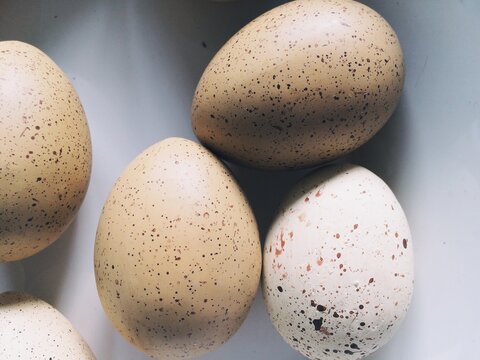 A group of brown and white speckled easter eggs in a white bowl