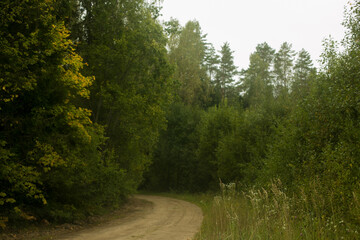road in the forest