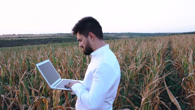 Handsome serious agricultural engineer, walking on the corn field severely affected by the drought