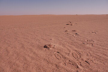 Footprint in the sand in the Empty Quarter of Saudi Arabia