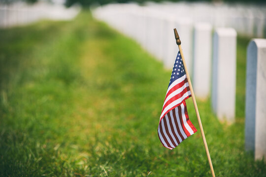 Memorial: Single Flag In Row Of Military Headstones