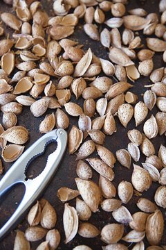 homegrown almond nuts collected and dried ready to eat