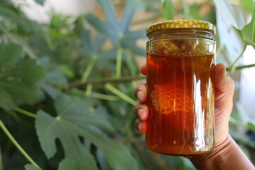 ein Liter Honigglas mit Bienenwaben in einer Hand mit einem Feigenbaum im Hintergrund