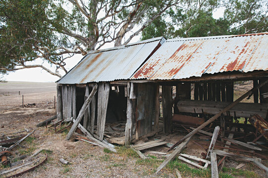 an abandoned shed in decay in the Australian countryside