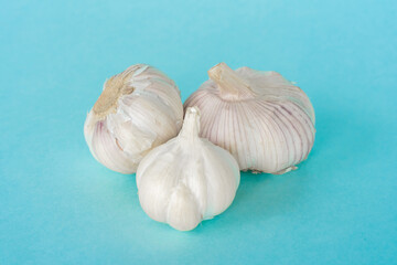 Group of garlic heads on blue background