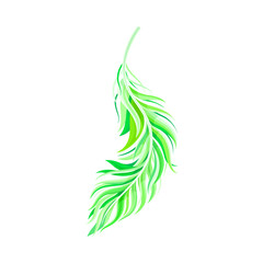 Green Bird Feather with Nib as Avian Plumage Vector Illustration