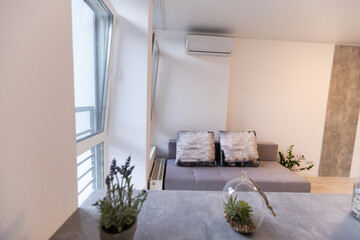 Kitchen and living room of loft apartment