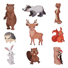 Forest Animals with Bear and Hare Vector Set