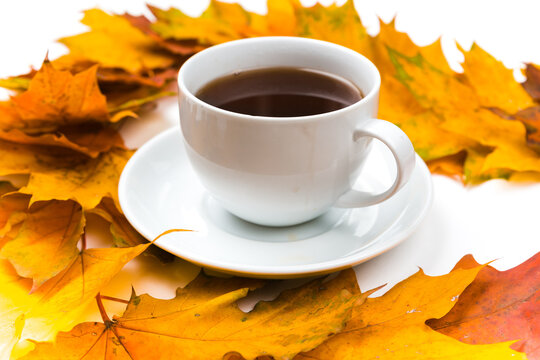 Top view of a hot Cup of tea. Huge - Powered by Adobe