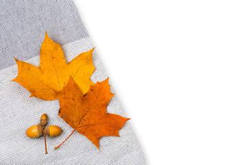 A pile of bright autumn leaves on a textile knitted background of plaid and sweater, an empty space for text, isolated on a white background. Top view, Flatley. Hugge and comfort in the house