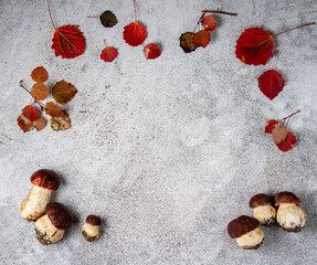 mushrooms and autumn leaves, frame