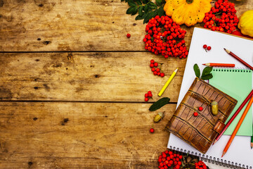 School stationery with pumpkins, rowan berries as zero waste lifestyle