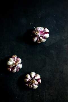 Garlic dark background