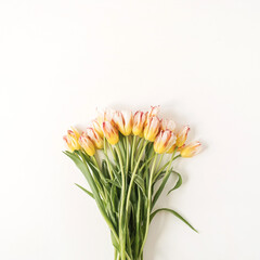 Yellow tulip flowers bouquet on white background. Flat lay, top view festive holiday celebration floral concept