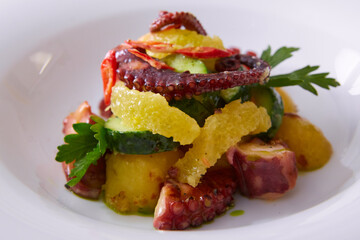 Whole octopus salad with orange and cress salad on white plate. Shallow dof