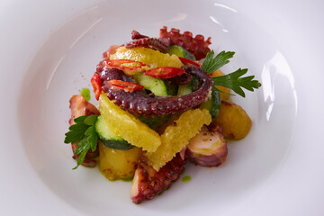 Whole octopus salad with orange and cress salad on white plate. Shallow dof
