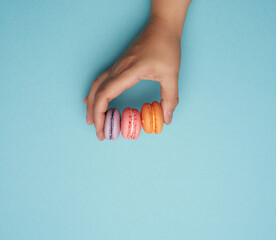 female hand holds three round baked macarons cookies on a blue background