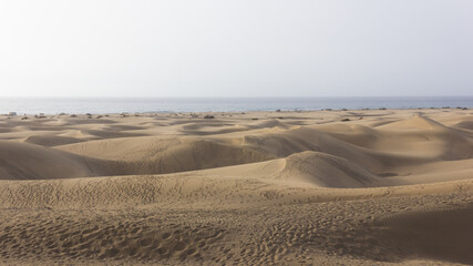Panoramic view of Maspalomas empty sand dunes at sunrise and sea on background in Gran Canaria. Iconic landmark in Canary Islands, tourist attraction destination concept