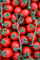 Sweet ripe red Italian cherry tomatoes in box on farmers market