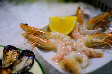 Catch of the day, fresh shrimps and sea food on ice in fish restaurant in Terracina, Italy