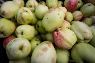 Closeup of a bunch of apples