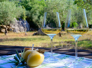 Summer picnic or lunch with tasting of white wine in olive tree groves in Lazio, Italy