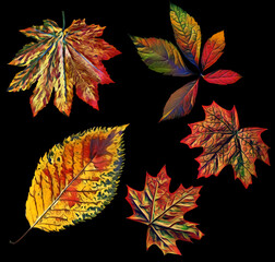 Leaves composition, seamless pattern.