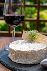 French cheeses collection, pieces of camembert and Le Bleu cow milk blue cheese with white mold and glass of red wine, pairing food and drink