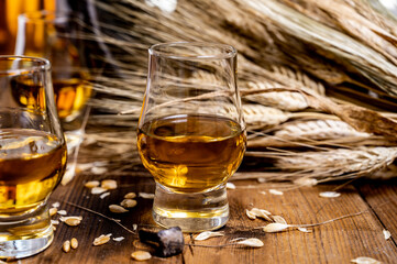 Small tasting glasses with aged Scotch whisky on old dark wooden vintage table with barley grains