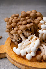 Fresh buna brown and bunapi white shimeji edible mushrooms from Asia, rich in umami tasting compounds such as guanylic and glutamic acid