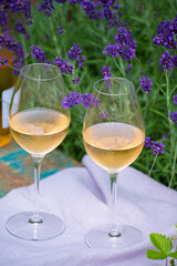 Love Provence, romantic picnic with glasses of cold French rose wine and purple lavender flowers in sunny summer garden