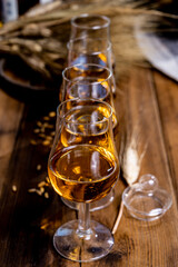 Tasting glasses with aged Scotch whisky or bourbon on old dark wooden vintage table with barley grains