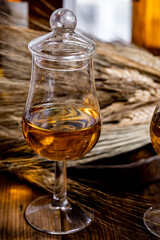 Tasting glasses with aged Scotch whisky or bourbon on old dark wooden vintage table with barley grains