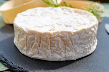 French cheeses collection, piece of matured camembert cow milk cheese with white mold