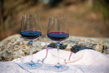 Summer picnic or outdoor tasting of red wine on vineyards in Lazio, Italy