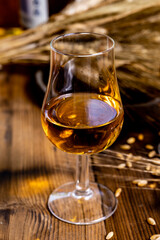 Tasting glasses with aged Scotch whisky or bourbon on old dark wooden vintage table with barley grains