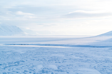 Svalbard winter - idyllic arctic scenery - 375857961