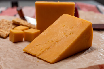 Matured yellow cheddar cheese close up